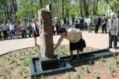 IMG_1181_798x532.jpg