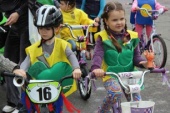 IMG_2183_798x532.jpg IMG_2183_798x532.jpg