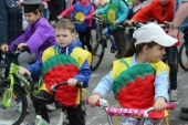 IMG_2184_798x532.jpg IMG_2184_798x532.jpg