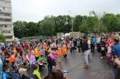 IMG_2113_798x532.jpg IMG_2113_798x532.jpg